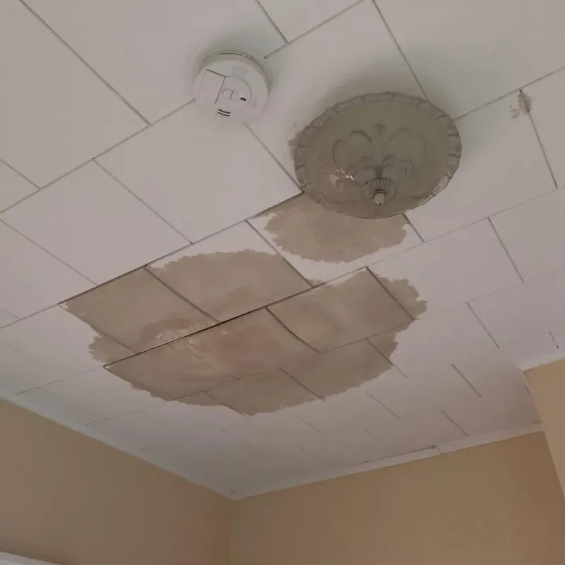 Ceiling Water Damage Repair in Granby, MA