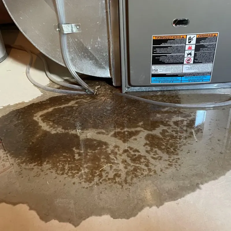 Pipe Burst and Leak Restoration in Granby, MA