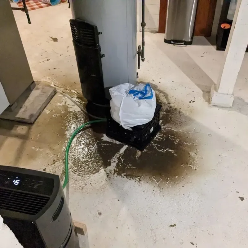 Sewage Backup Cleanup Service in Granby, MA